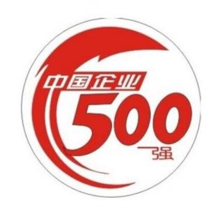 中國(guó)企業(yè)500強(qiáng)
中國(guó)企業(yè)500強(qiáng)