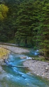 手機(jī)桌面壁紙 手機(jī)桌面壁紙