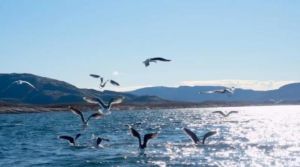 云南旅游景點 云南旅游景點