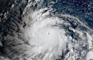 臺風奧鹿 臺風奧鹿