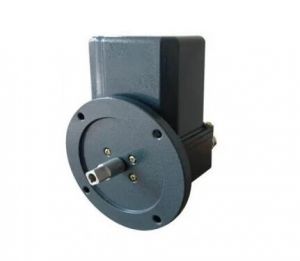 轉(zhuǎn)速限制器 轉(zhuǎn)速限制器