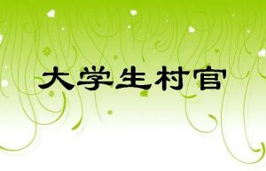 大學(xué)生村官考試 大學(xué)生村官考試