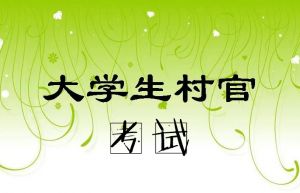 大學(xué)生村官考試