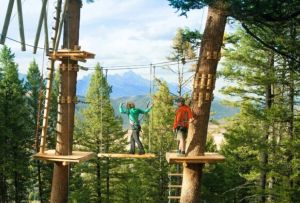 《自然的慰藉》 《自然的慰藉》