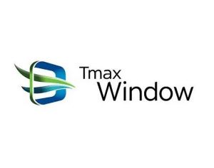 Tmax Window Tmax Window