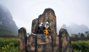 岜盆鄉(xiāng)白頭葉猴自然保護(hù)區(qū) 岜盆鄉(xiāng)白頭葉猴自然保護(hù)區(qū)