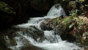 七沖國(guó)家級(jí)自然保護(hù)區(qū) 七沖國(guó)家級(jí)自然保護(hù)區(qū)