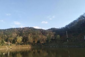 七沖國(guó)家級(jí)自然保護(hù)區(qū) 七沖國(guó)家級(jí)自然保護(hù)區(qū)