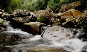 七沖國(guó)家級(jí)自然保護(hù)區(qū) 七沖國(guó)家級(jí)自然保護(hù)區(qū)