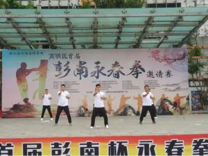 彭南詠春拳 彭南詠春拳