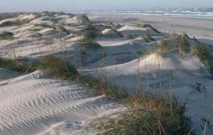 豌豆島國家野生動物保護區(qū) 豌豆島國家野生動物保護區(qū)