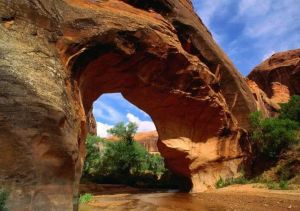 仙納度國(guó)家公園 仙納度國(guó)家公園