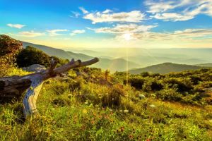 仙納度國(guó)家公園 仙納度國(guó)家公園