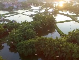 九江璜璣自然保護區(qū) 九江璜璣自然保護區(qū)