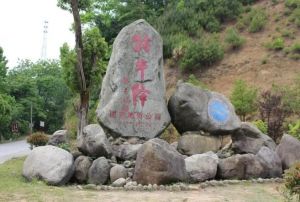 祁門牯牛降九龍 祁門牯牛降九龍