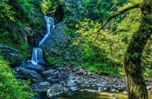 祁門牯牛降九龍 祁門牯牛降九龍