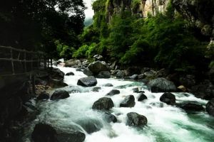 祁門牯牛降九龍 祁門牯牛降九龍