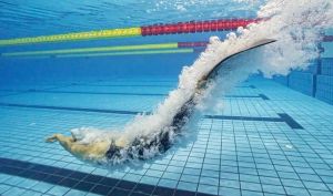 世界蹼泳錦標賽