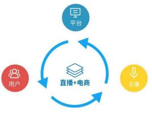 電商直播 電商直播