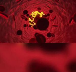 恐龍血血型 恐龍血血型