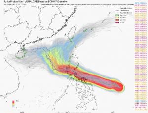 臺風(fēng)尼格 臺風(fēng)尼格
