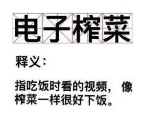 電子榨菜 電子榨菜