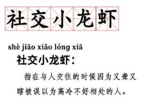 社交小龍蝦 社交小龍蝦