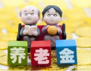 個人養(yǎng)老金實施辦法 個人養(yǎng)老金實施辦法