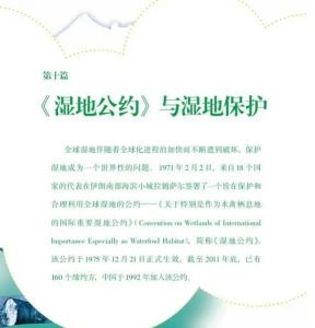 濕地公約 濕地公約