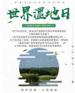 濕地公約 濕地公約