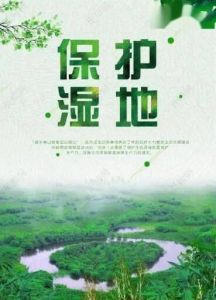 濕地公約 濕地公約