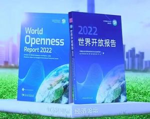 《世界開放報告2022》 《世界開放報告2022》