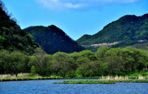 神農(nóng)架大九湖國家濕地公園環(huán)境 神農(nóng)架大九湖國家濕地公園環(huán)境