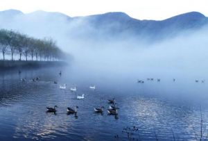 大九湖國家濕地公園 大九湖國家濕地公園