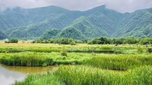 神農(nóng)架大九湖國家濕地公園 神農(nóng)架大九湖國家濕地公園