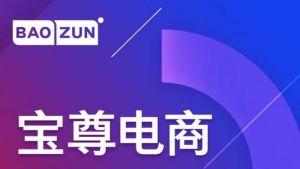 寶尊電商 寶尊電商
