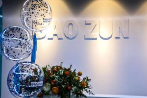 寶尊電商 寶尊電商