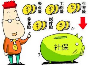 社會保險 社會保險