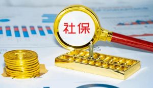 社會保險 社會保險