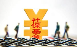 社會保險 社會保險