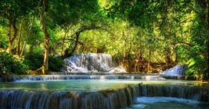 亞馬遜熱帶雨林 亞馬遜熱帶雨林