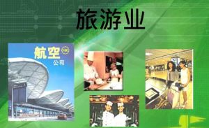 旅游業(yè) 旅游業(yè)
