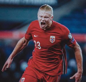 埃爾林·哈蘭德 埃爾林·哈蘭德