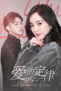 愛(ài)的二八定律 愛(ài)的二八定律