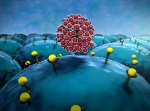 奧密克戎 奧密克戎