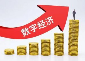 數(shù)字經(jīng)濟(jì) 數(shù)字經(jīng)濟(jì)