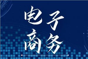 電子商務(wù) 電子商務(wù)