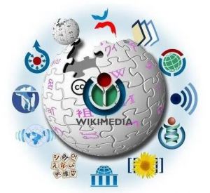 維基百科 維基百科