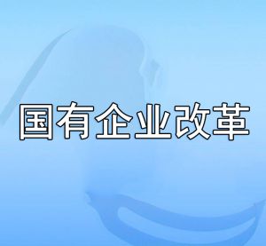 國有企業(yè)改革