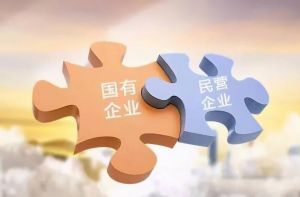 國有企業(yè)改革